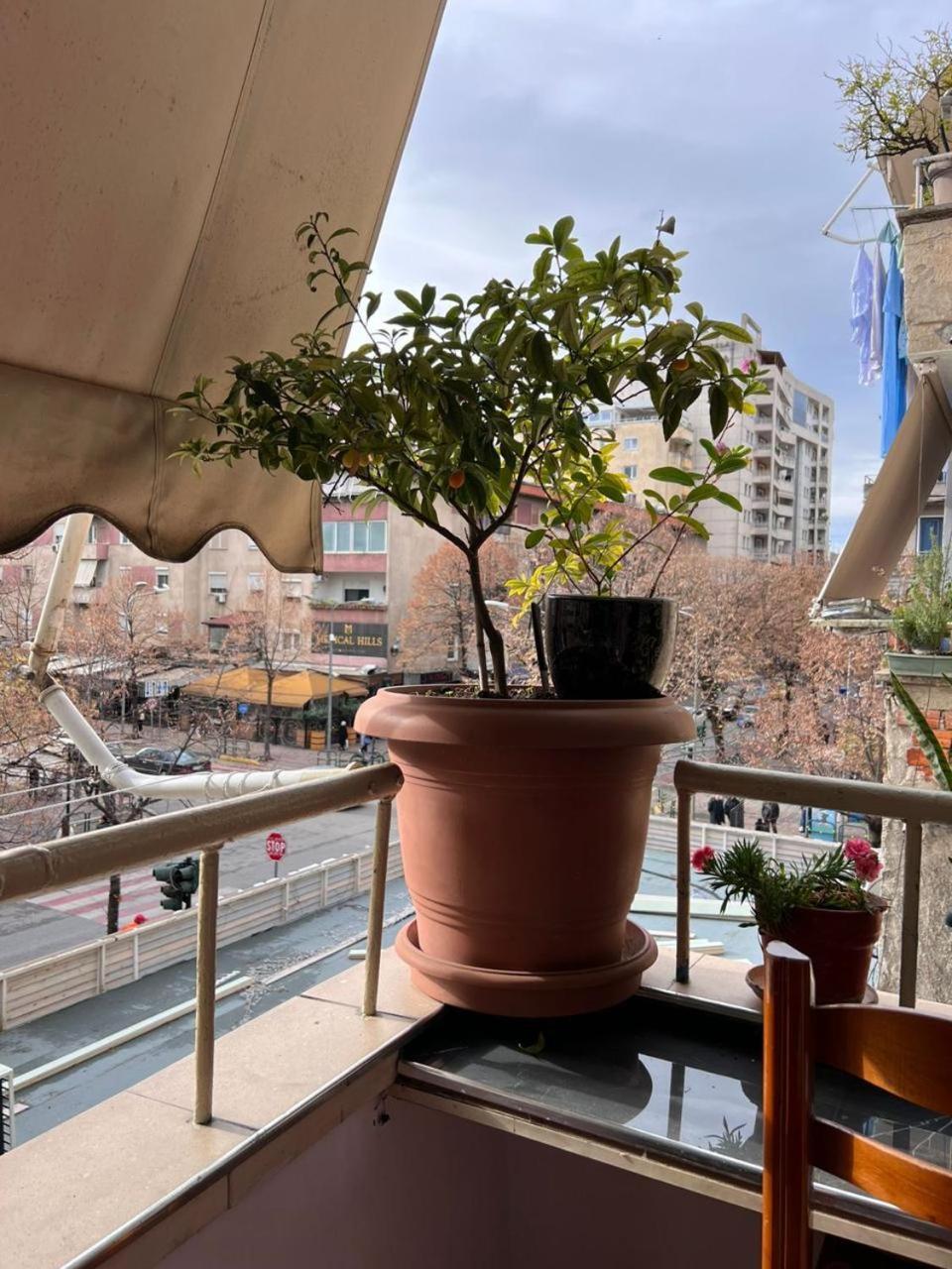 3M Urban Stay Tirana Exterior photo